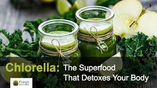 Chlorella The Superfood that Detoxes Your Body & Cleanses Heavy Metals