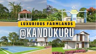 Luxurious farmlands at Kandukur | Affordable Farm Plots Near Srisailam Highway