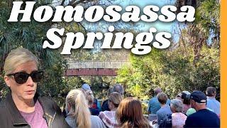 Homosassa Springs - Florida's Best Wildlife State Park