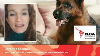 Carolina Escobar  en ELBA 2024