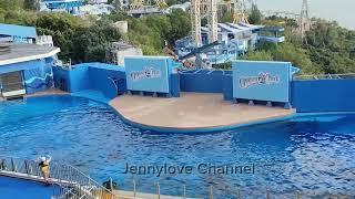 Ocean Park Dolphin Explosion | Explorer