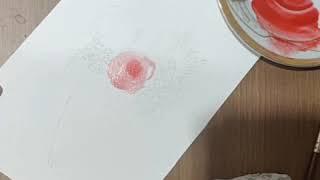 Watercolor Realistic Easy 3d  Rose painting tutorial.