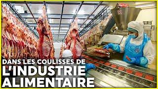 Alimentation industrielle : qu'y a-t-il vraiment dans nos assiettes ?