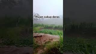 hujan deras ‼️