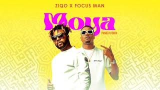 Ziqo & Focus Man - Moya