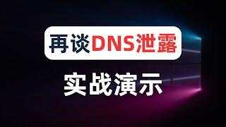 【DNS泄露】实战演示DNS泄漏，全局模式就不会dns泄漏？解答DNS泄露的争议，最简单clash配置DNS方法，fakeip到底会比realip提升网速吗？跨境电商网络环境要求高该如何防止DNS洩露