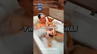 Литвин ХОЗЯИН СЧАСТЛИВОЙ СОБАКИ #литвин #адель #shorts