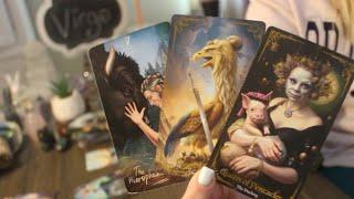 VIRGO: “They DO want youuu! Incoming TALK brings you CLOSER”  NOVEMBER 2024 TAROT LOVE WEEKLY