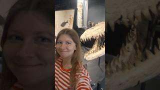 Музей-магазин. Часть 1 #репортажи #журналист #петербург #палеонтология