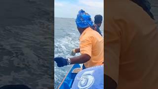 King Fish Catched In Board Fishing Tecnique #kingfishing Kadal Karkal Fishing