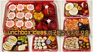 미국학교 도시락 만들기 모음(7)/Lunchbox Ideas/도시락 메뉴 모음집/Korean Lunchbox Ideas/Korean Mom’s Home Cooking