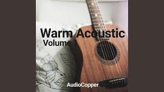 Folk Acoustic