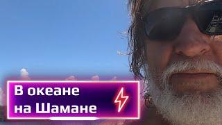 В океане на Шамане - ламантины