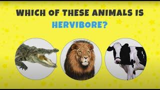 Trivia Questions Read Out Loud - General Knowledge Quiz for kids