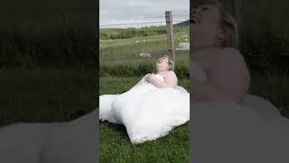 ALPACA TAKES DOWN BRIDE #shorts #wedding #alpaca