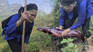 Lonely grandmother braves deep forest to find Azo, catching fish in a stream to survive her journey.