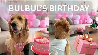 BULBUL KA HAPPY HAPPY BIRTHDAY VLOG #trending #vlog ||simply swaniya