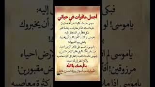 اقوال وحكم رائعة للعقول الراقية - عبر و حكم نادرة - بالتأكيد أنت المقصود #حكم #القرآن #ادعيه #lyrics
