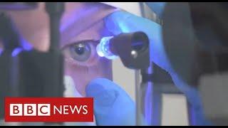 Radical new gene therapy restores sight to patients with rare eye condition - BBC News