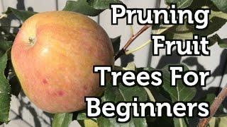 Fall Pruning Fruit Trees for Beginners