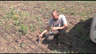 По технологии No-Till