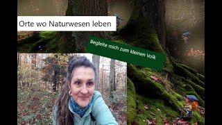 Naturwesen gibt es wirklich und sie möchten mit uns in Kontakt treten - Orte wo sie leben - Teil1