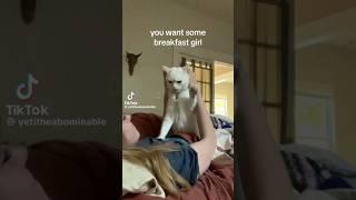 how she is seeing #shorts #yeti #viral #shortvideo #cute