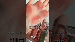 찐 가을뮤트의 분위기 있는 소프트 미지근 mlbb 가을웜톤 추천립️+말린장미..#미지근립 #가을뮤트 #봄소프트 #가을소프트 #소프트톤