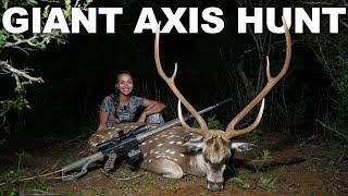 AXIS HUNTING in TEXAS at G2 Ranch!