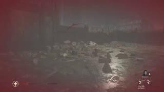WWII campaign on veteran