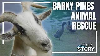 How Barky Pines Animal Rescue in Loxahatchee is Saving Lives!