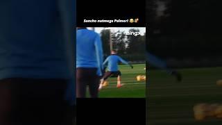 Sancho nutmeg Cole Palmer 