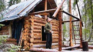 Off Grid Log Cabin: Building a Log Cabin for My Dog.