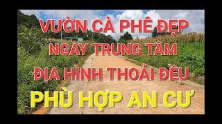 BÁN ĐẤT ĐĂK NÔNG 270| VƯỜN CÀ PHÊ ĐẸP NGAY TRUNG TÂM XÃ KHU DÂN CƯ ĐÔNG ĐÚC THUẬN TIỆN SINH HOẠT