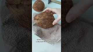 Как легко и правильно открыть КОКОС