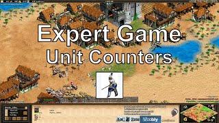 Aoe2: Expert Game - Mindgames & Counters