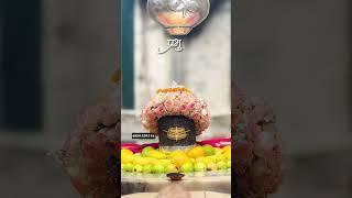 Mahakal Status | महाकाल Status Short Video | ️| Abhi Editz #shorts #trending #viral #youtubeshorts