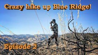 A BRUTAL HIKE UP BLUE RIDGE || EPISODE 2 - CACCIA OUTDOORS CALIFORNIA HUNTING 2019