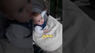 Видит свою цель! #юмор #baby #прикол #dedsad #милота #дети #кот #short #shorts #легенда #приколы