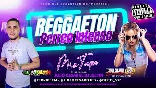 REGGAETONPERREO INTENSO MIX 2024 ( EXITOS DE ANTES) - Dj Julitin Ft Terrible Evolution Corporation