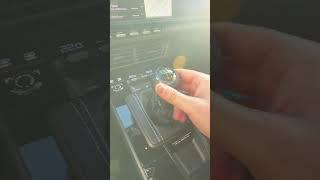 2025 Porsche GT3: MANUAL or PDK?