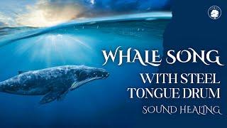 Whale Sounds with Steel Tongue Drum  | Calm the Mind, Destress, Balance Energy 