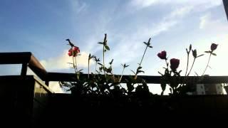 Brincando com o time lapse =)