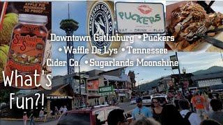 Downtown Gatlinburg | Puckers | Waffle De Lys | Tennessee Cider Co. | Sugarlands Moonshine