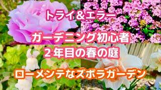 【ガーデニング】ズボラなガーデニング初心者でも育つ最強の花達️２年目の春の庭