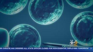 Seen At 11: Are Your Cells Aging You Faster Than The Calendar?