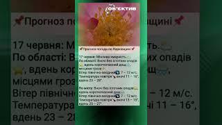Погода у Харкові 17.06.2025