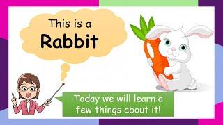 10 lines on Rabbit in English I #essayonrabbitinenglish I10 Lines on Rabbit Essay In English I