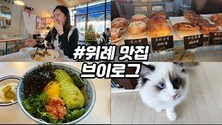 Vlog 위례 맛집 빵집 그리고 랙돌고양이..