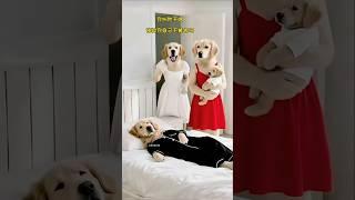 妻子一人带孩子看病，回家又要做饭，婆婆和老公还要责怪她！！！ #pets #黃狗 #funny #老友狗狗 #animals #cute #正能量剧情 #goldenretriever #家族恩怨